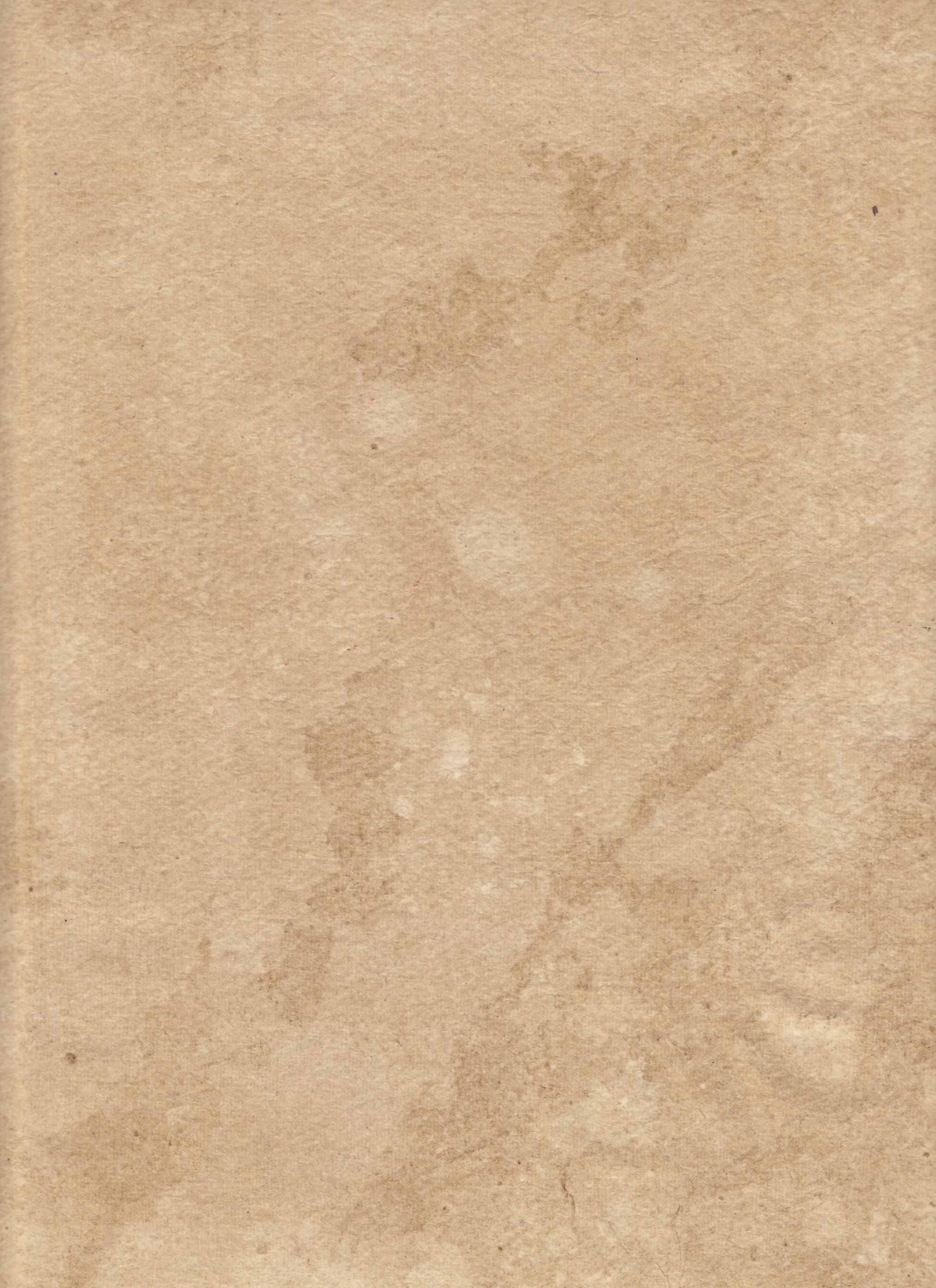 Brown Paper Texture