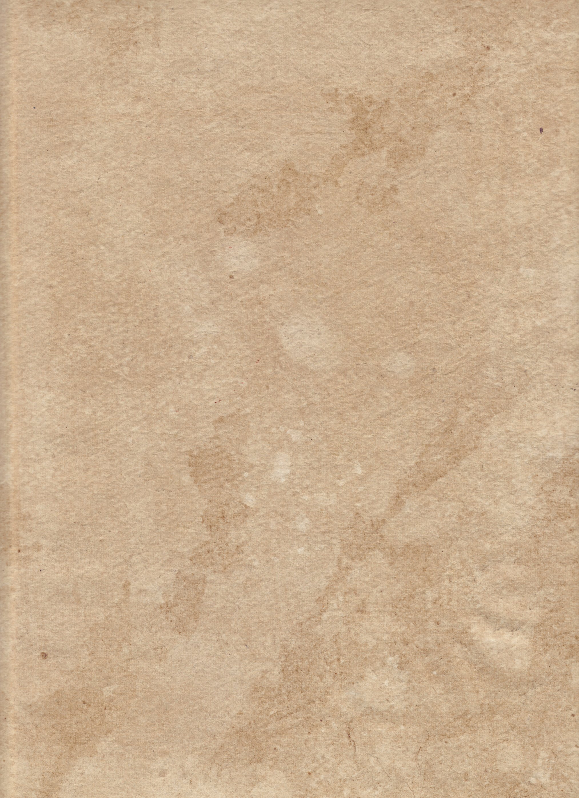 Brown Paper Texture